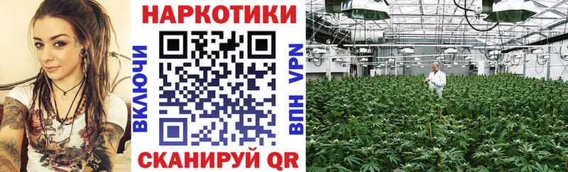 Где можно купить наркотики Дно ОМГ ОМГ сайт  COCAIN  МЕФ  Бошки Шишки  ГАШИШ  Alpha-PVP 