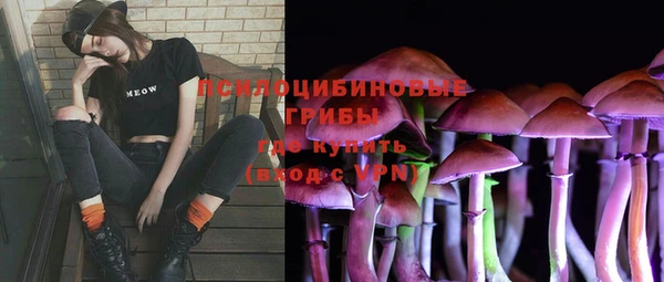 крисы Дмитриев