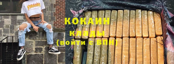 крисы Дмитриев