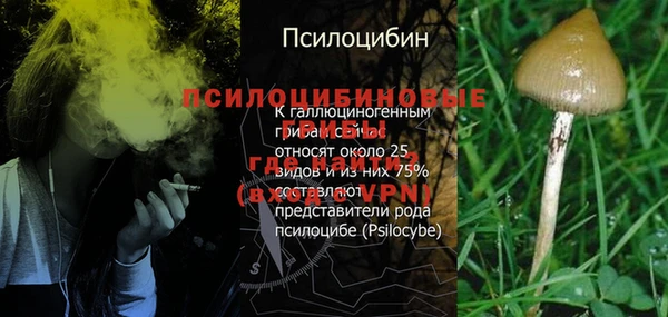 бошки Дмитровск