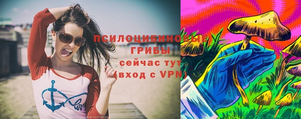бошки Дмитровск